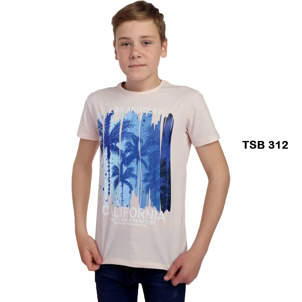 Teenagers T-Shirt with Different Designs and Colors